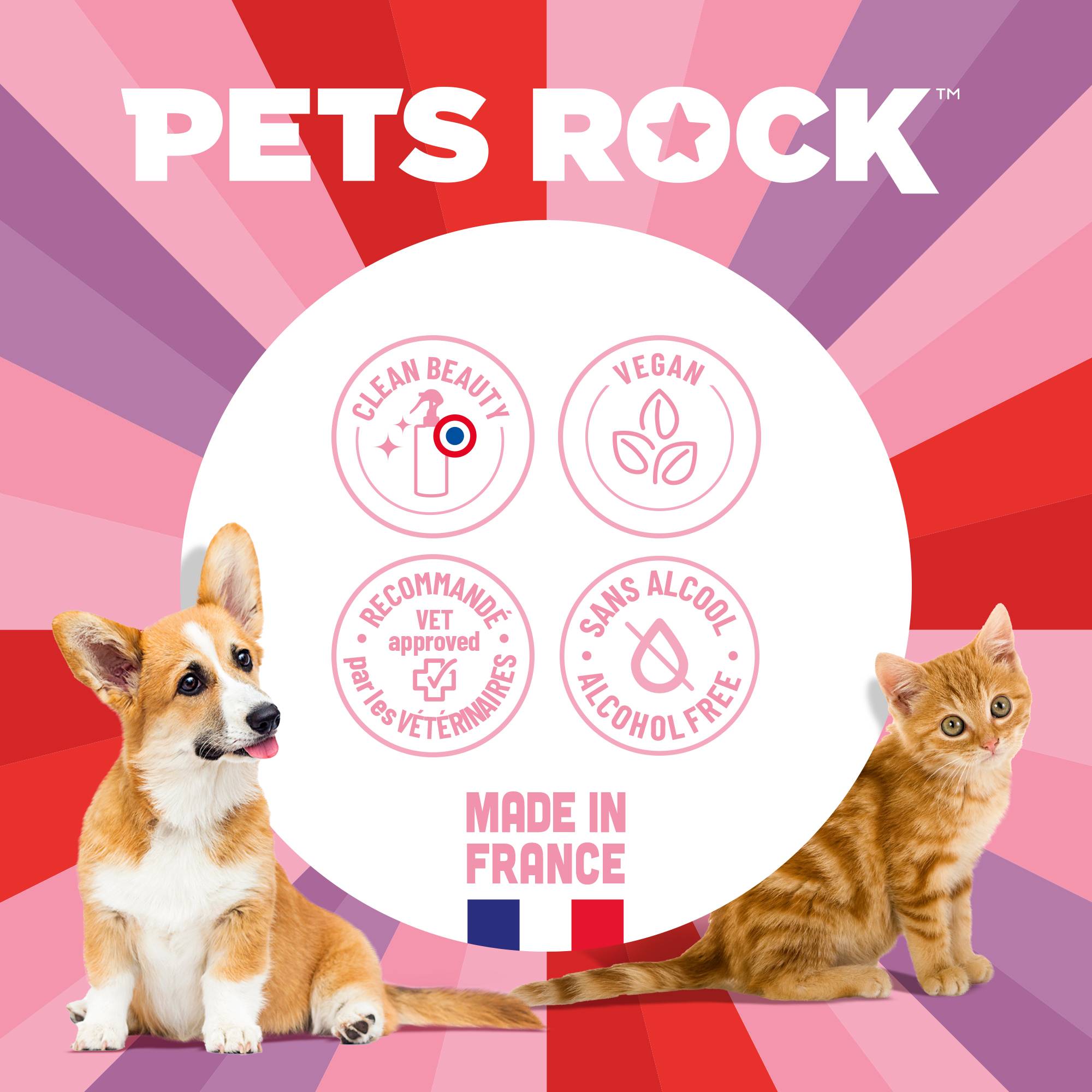 Brume parfumée pour chien et chat 300ML Pets Rock - VANILLA POP - Image 4