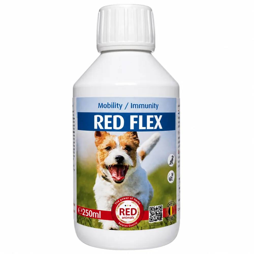 Traitement Rhumatisme Chien - Solution Anti-Inflammatoire Naturelle Red Animals - Image 1