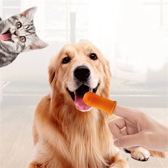 Lot de brosses à dents pour chiens DtopbuyAge - Image 3