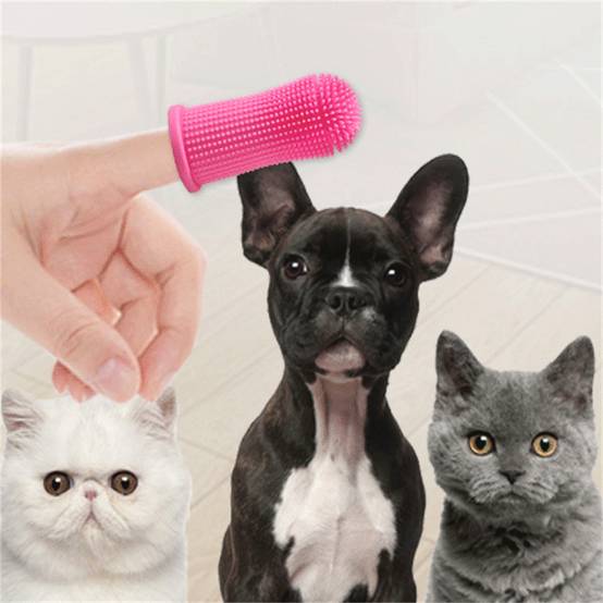 Lot de brosses à dents pour chiens DtopbuyAge - Image 5