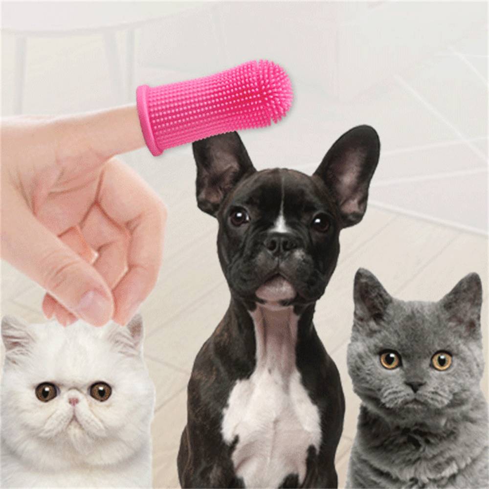 Lot de brosses à dents pour chiens DtopbuyAge - Image 5