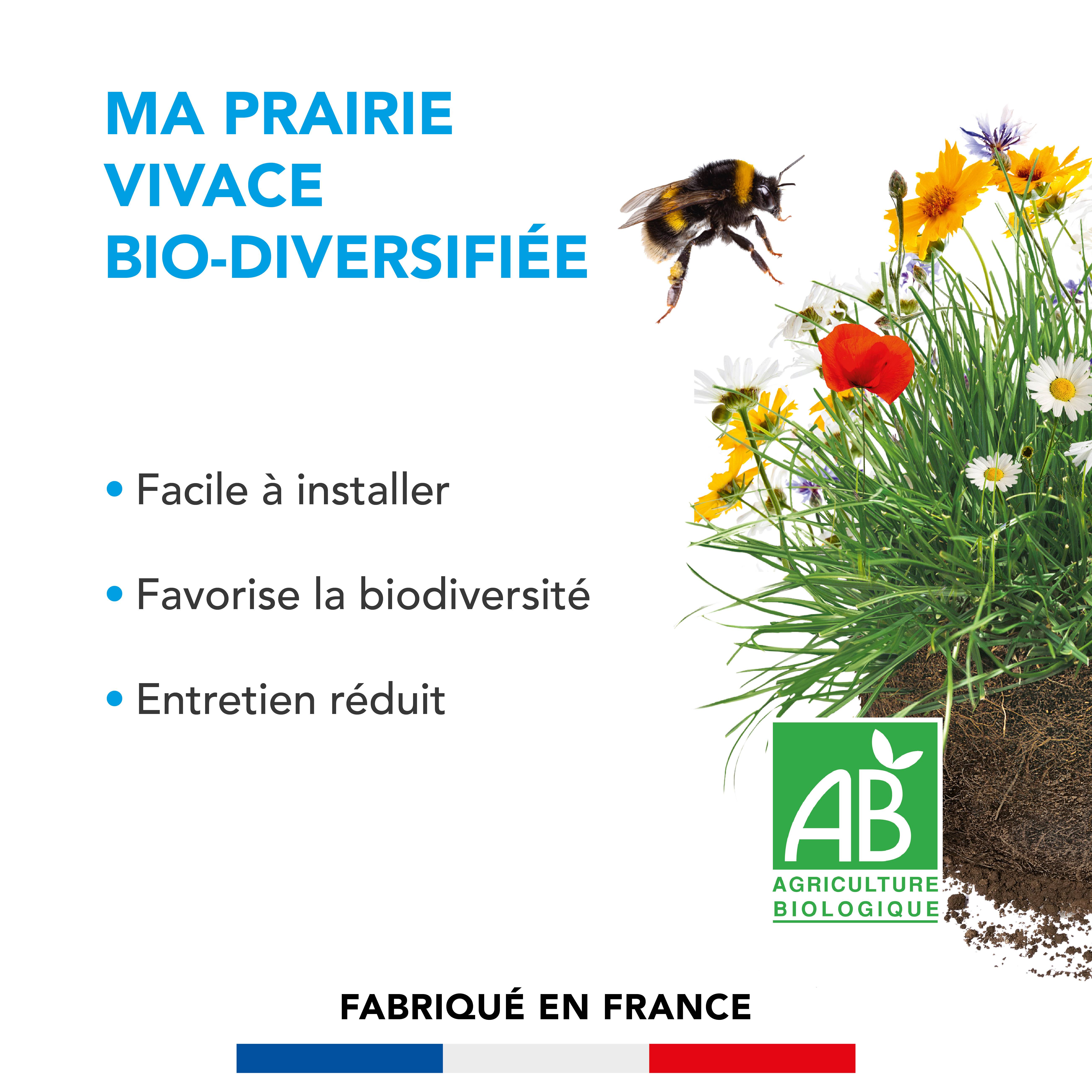 Prairie Vivace - Facile à Installer - Entretien Réduit - Refuge Naturel Animaux - 10KG - BARENBRUG - Image 2