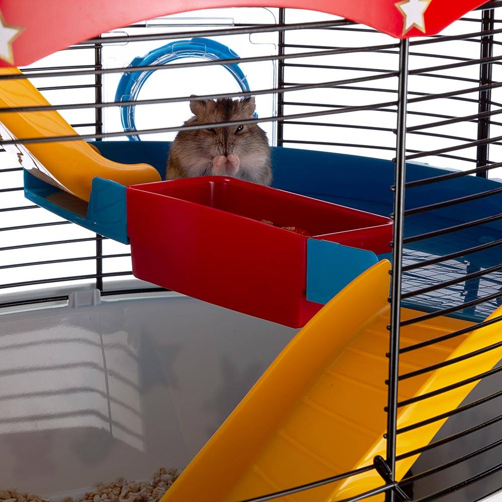 Ferplast - Ferplast Cage à 3 étages pour hamsters CIRCUS FUN, souris, petits rongeurs, plastique robuste et métal, ashésifs colorés et accessoires inclus, 49,5 x - Image 5