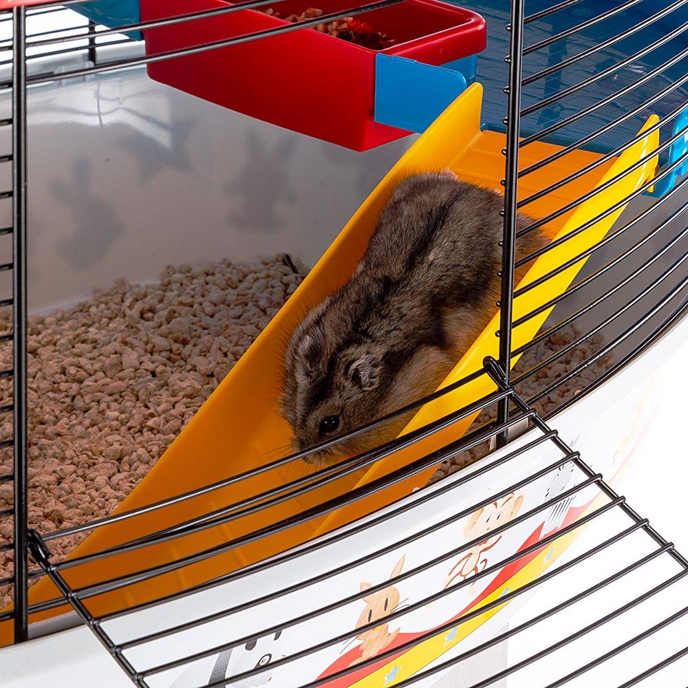 Ferplast - Ferplast Cage à 3 étages pour hamsters CIRCUS FUN, souris, petits rongeurs, plastique robuste et métal, ashésifs colorés et accessoires inclus, 49,5 x - Image 6