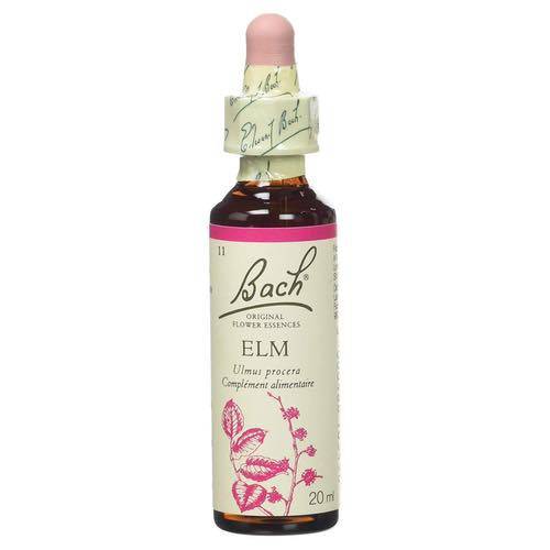 Elm - Fleurs de Bach® n°11 Fleur de Bach - Imagen 1