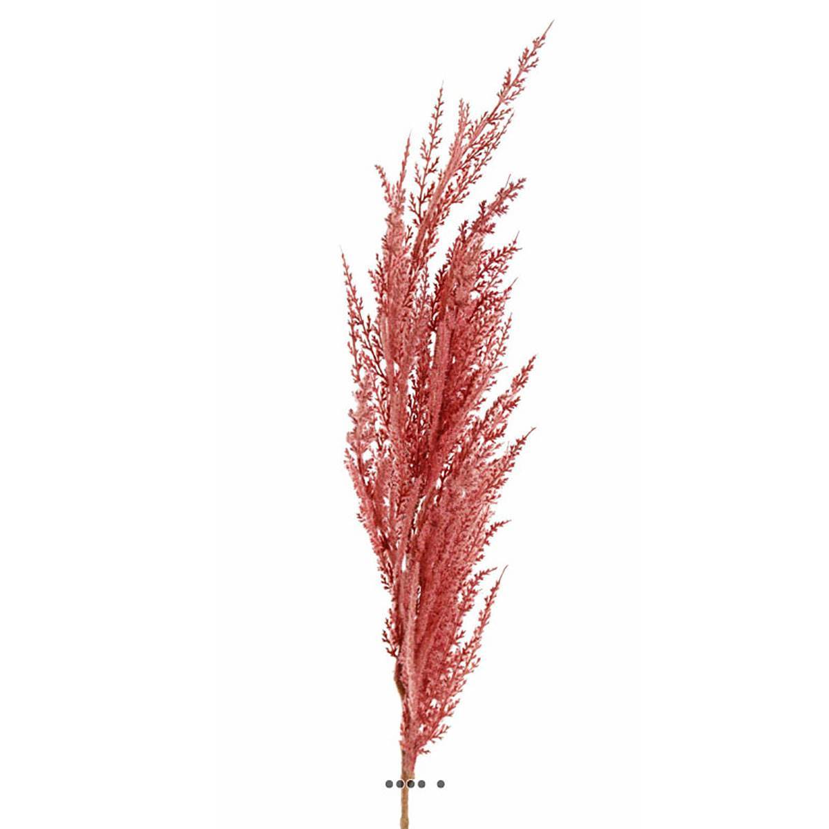 Artificielles - Magnifique fausse herbe de pampa grande tige 100 cm Rose - couleur: Rose - Imagen 1