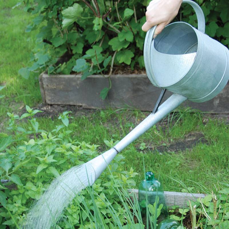 Esschert Design - Arrosoir ancien en zinc buse amovible 4,6L - Esschert Design - Imagen 2