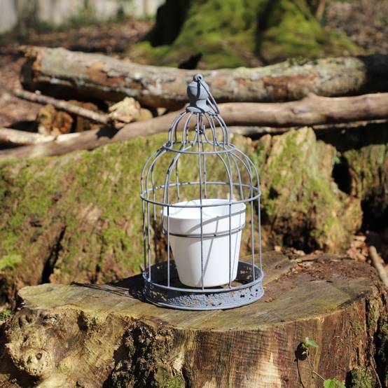Cage à oiseaux décorative ancienne porte-plantes métal gris 35cm Chemin de campagne - Imagen 3