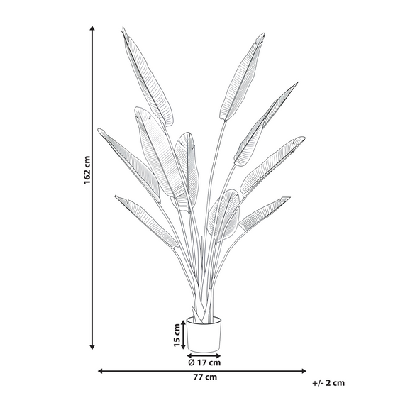 Beliani - Plante artificielle Matière synthétique Doré BANANA TREE - 77x77x162- Beliani - Image 3