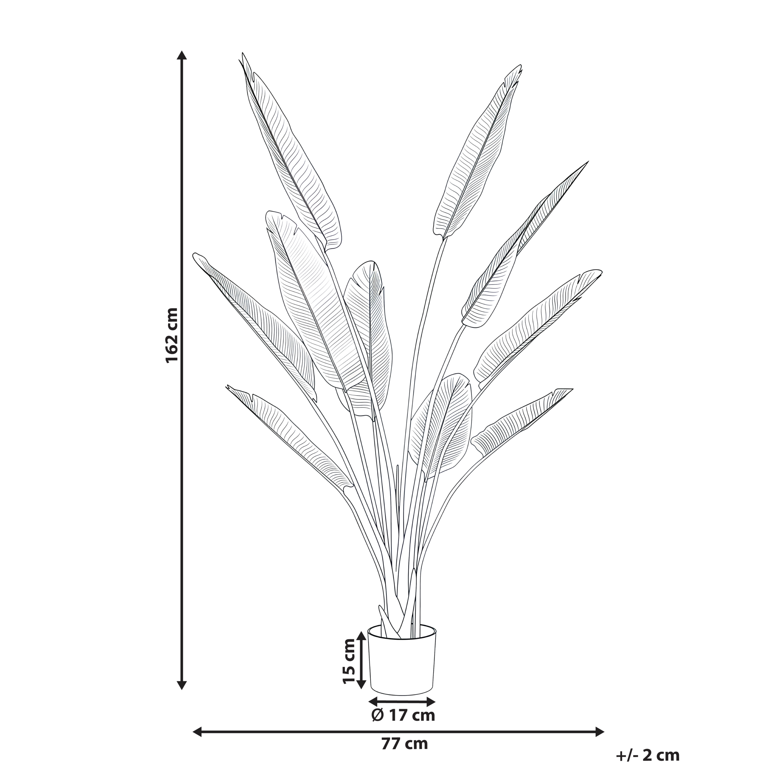 Beliani - Plante artificielle Matière synthétique Doré BANANA TREE - 77x77x162- Beliani - Image 3