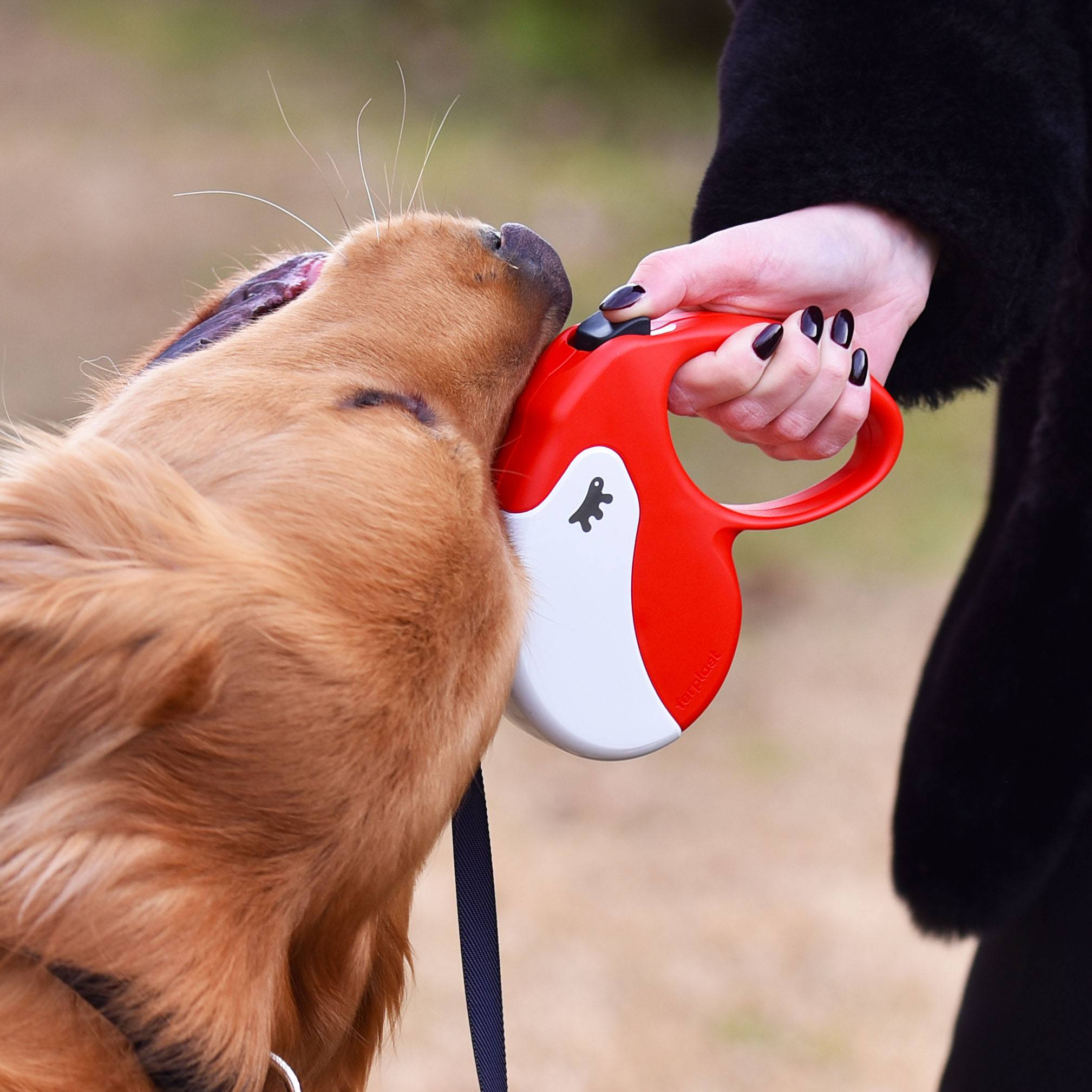 Ferplast - Ferplast Laisse Chien Enrouleur AMIGO LARGE, Laisse pour chiens de grande taille jusqu'à 50 Kg. Sangle Extensible maximum de 5 m. Bouton de - Imagen 3