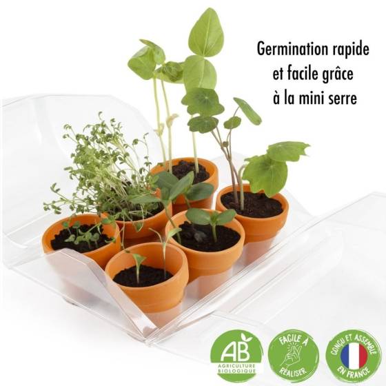 Radis et Capucine - Radis et Capucine - Mini serre 6 pots PET - Premier jardin - Image 5