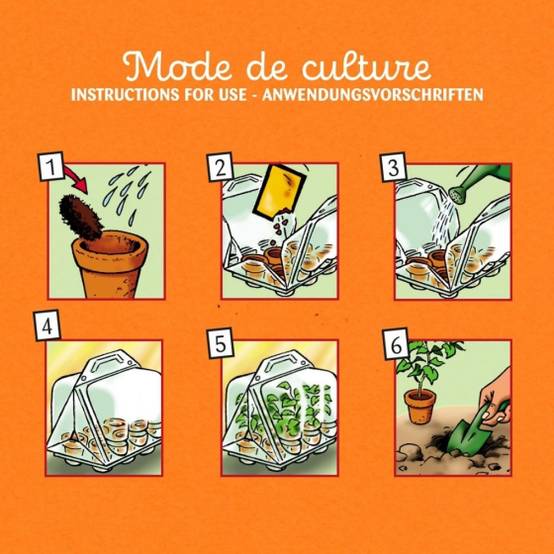 Radis et Capucine - Radis et Capucine - Mini serre 6 pots PET - Premier jardin - Image 4