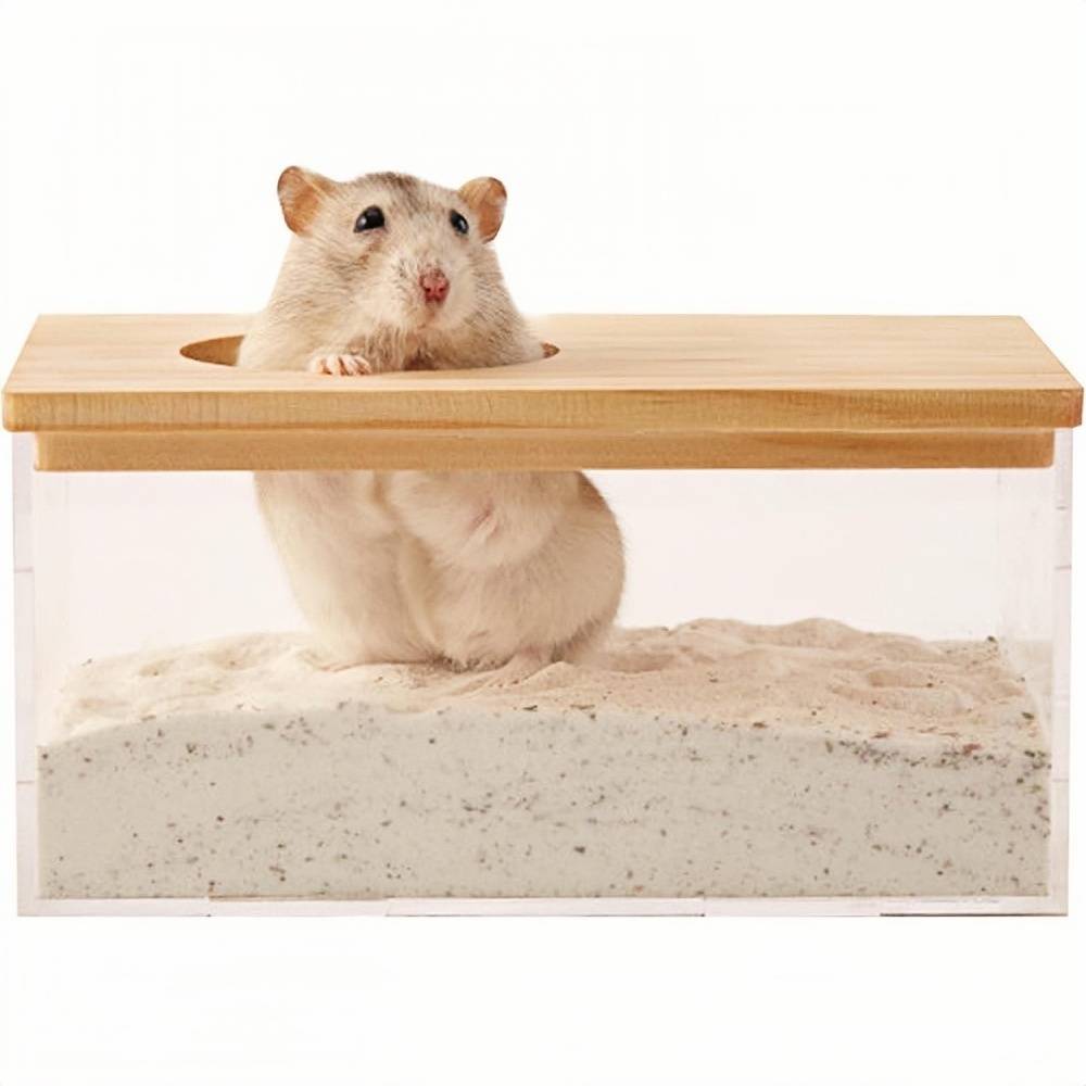 DtopbuyAge - Bain salle pour hamster DtopbuyAge - Image 1