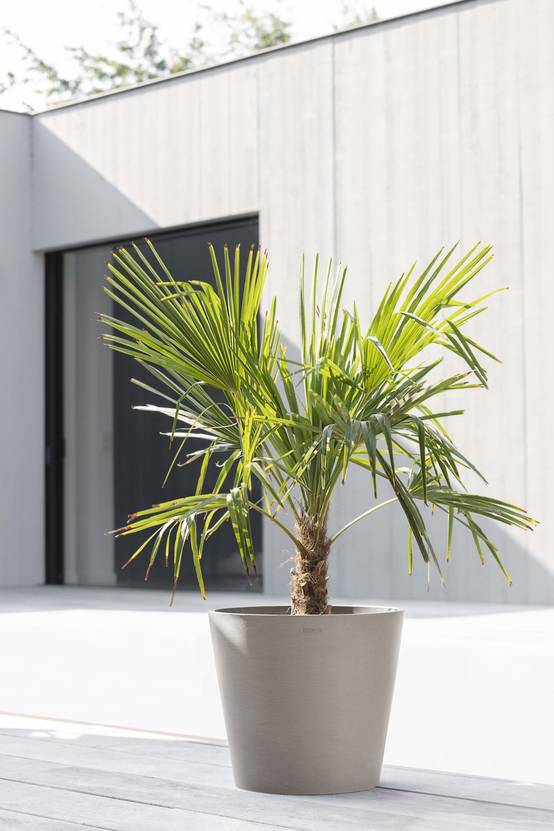 Ecopots - Pot Rond Amsterdam 40 Taupe + réservoir d'eau - Ø 40 x H. 35 cm - 28 L ECOPOTS - Imagen 4