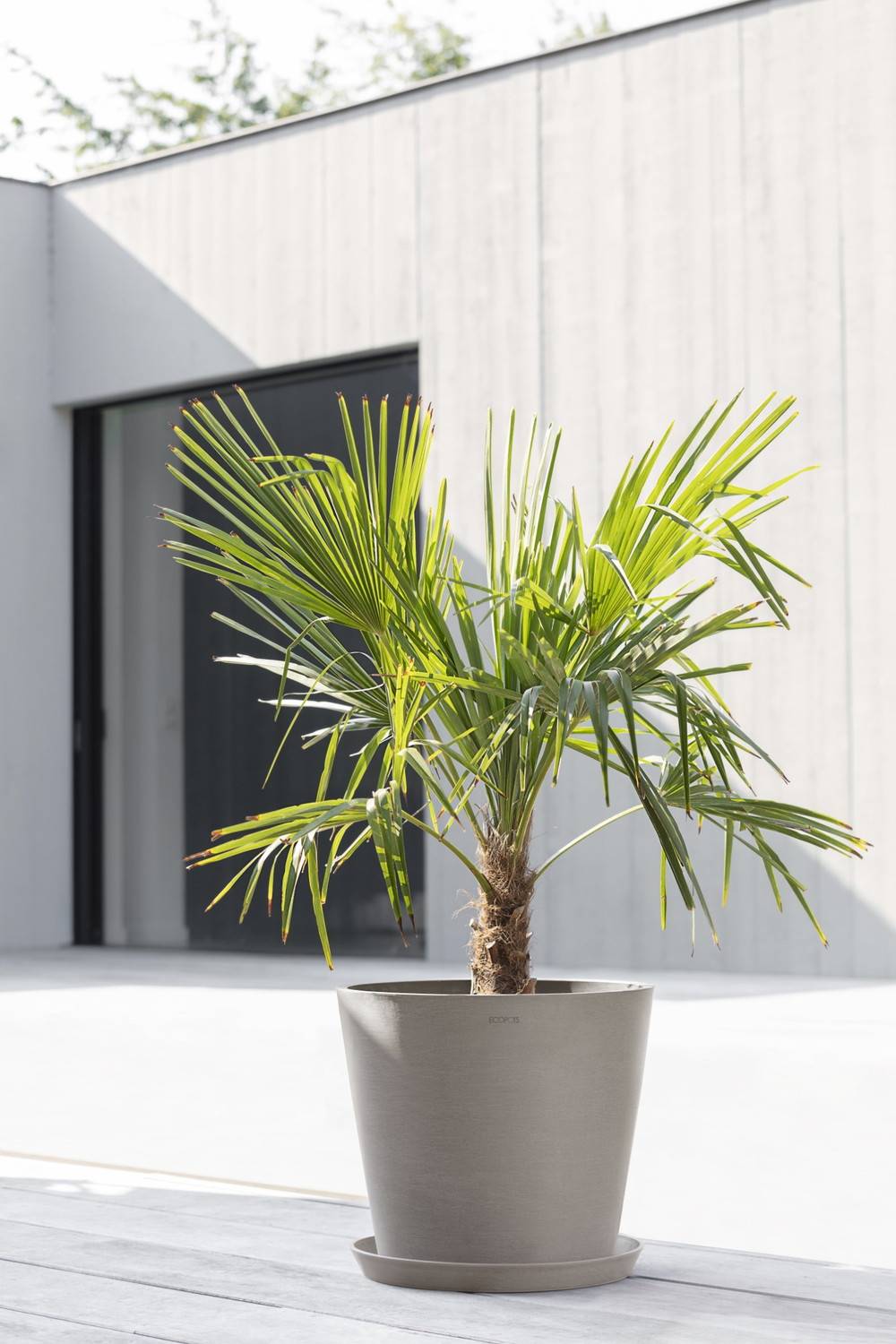 Ecopots - Pot Rond Amsterdam 40 Taupe + réservoir d'eau - Ø 40 x H. 35 cm - 28 L ECOPOTS - Imagen 3