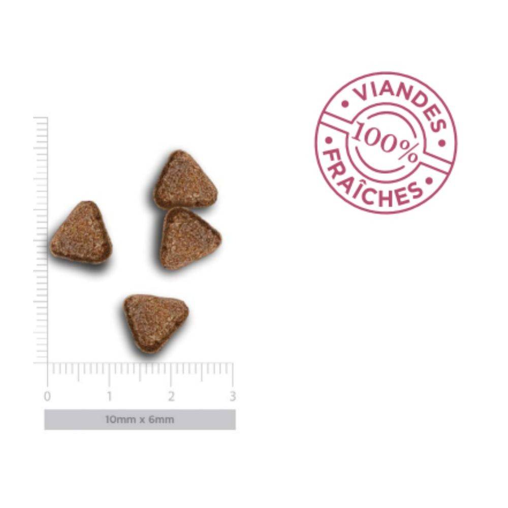 Croquettes Chien Sans Céréales Agneau Sensible Amanova 2 kg - Image 4