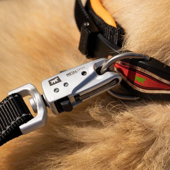 Ferplast - Ferplast Laisse pour chien ERGOFLUO MATIC, Laisse pour chien taille grande, Mousqueton innovant avec mécanisme magnétique, Poignée rembourrée, Nylon. - Imagen 6