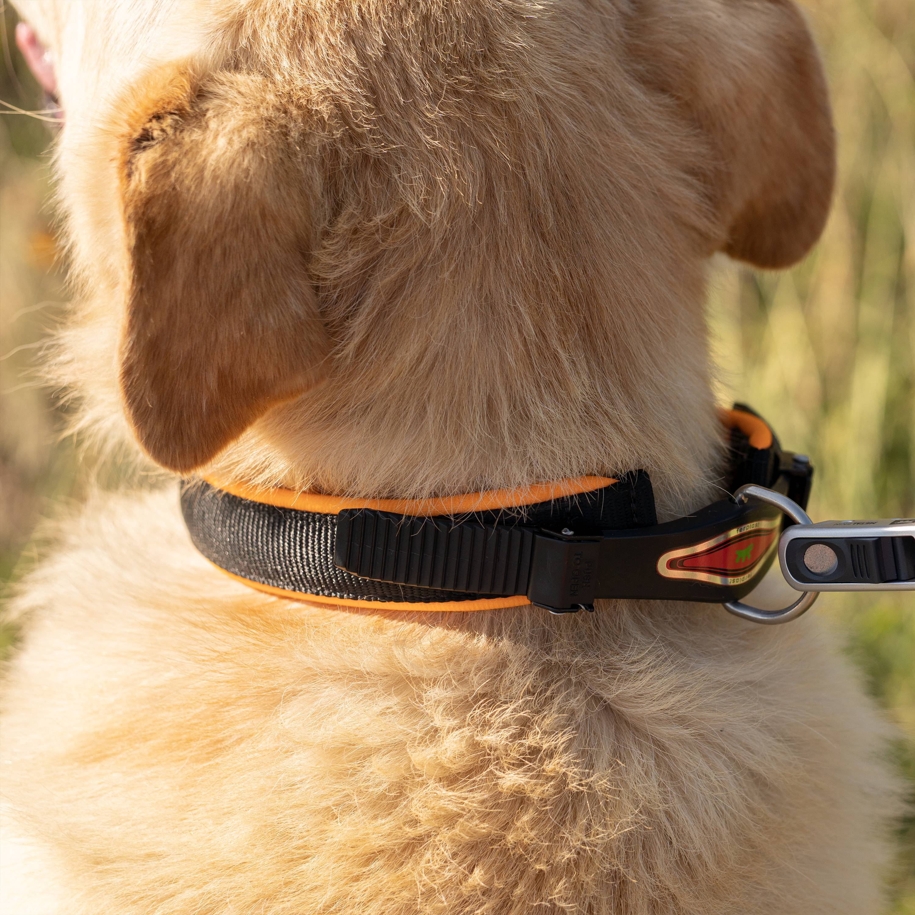 Ferplast - Ferplast Laisse pour chien ERGOFLUO MATIC, Laisse pour chien taille grande, Mousqueton innovant avec mécanisme magnétique, Poignée rembourrée, Nylon. - Imagen 7