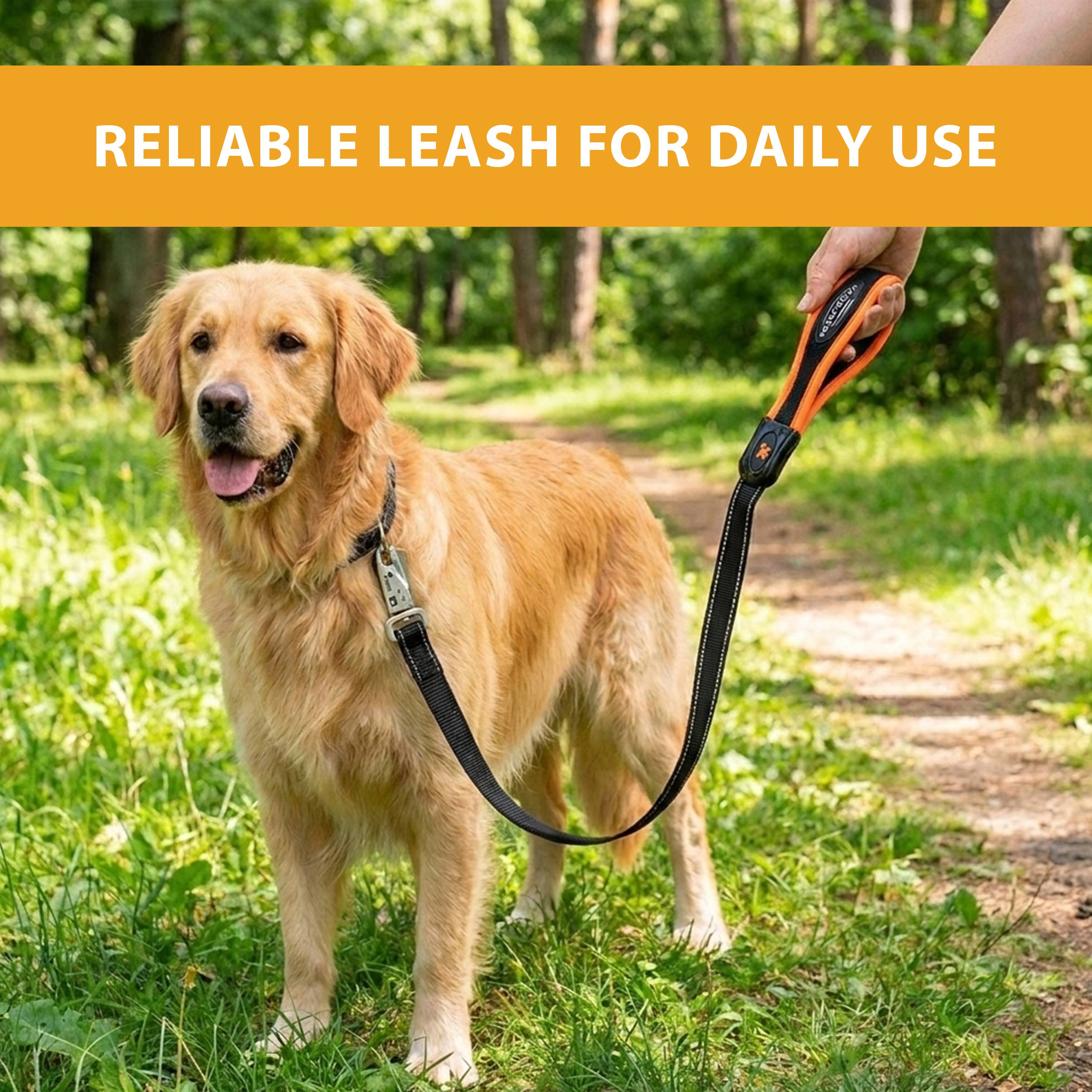 Ferplast - Ferplast Laisse pour chien ERGOFLUO MATIC, Laisse pour chien taille grande, Mousqueton innovant avec mécanisme magnétique, Poignée rembourrée, Nylon. - Imagen 8