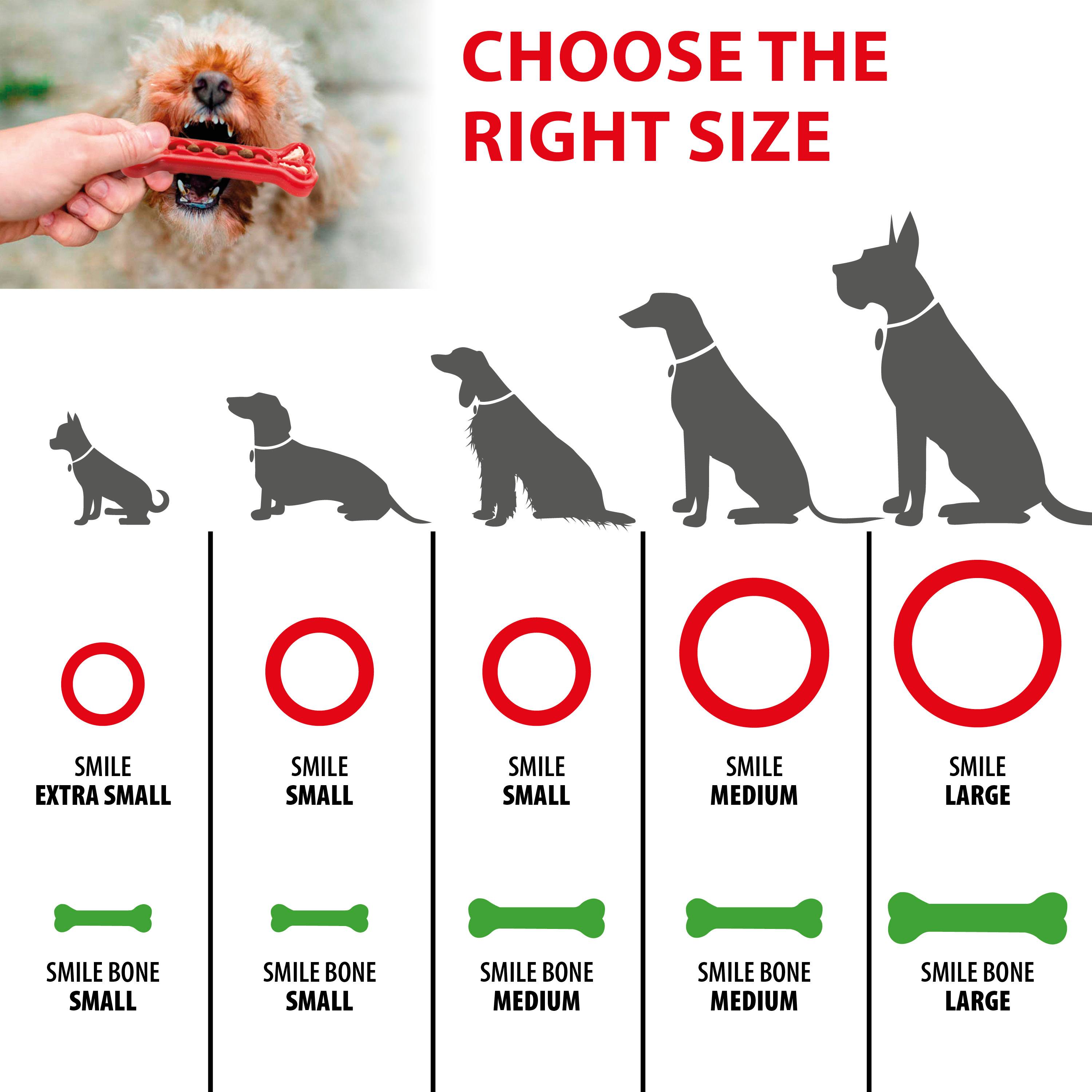 Ferplast - Ferplast Jouet Chien, Anneau Distributeur Croquettes Friandises pour Chien, en Matériau Durable à Mâcher, Arôme de Viande, pour l'Hygiène Dentaire, - Imagen 2