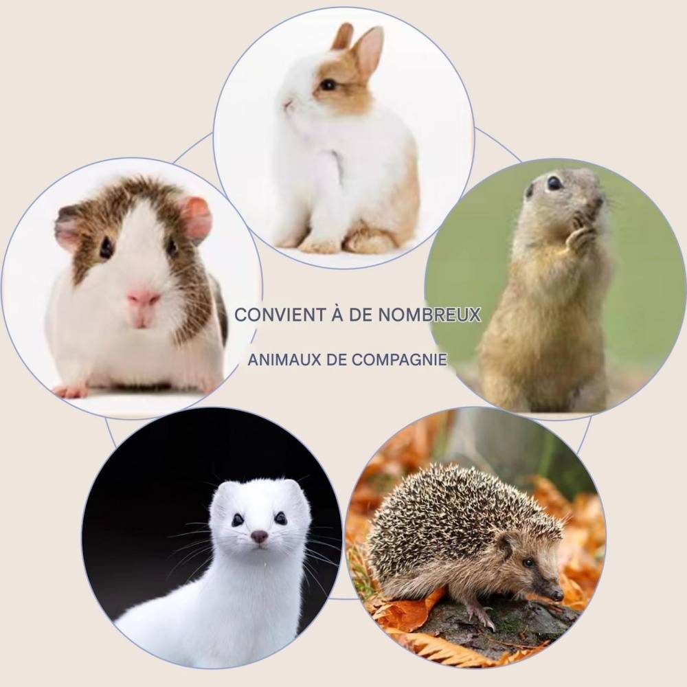 DtopbuyAge - Sacs jetables pour petits animaux DtopbuyAge - Image 3