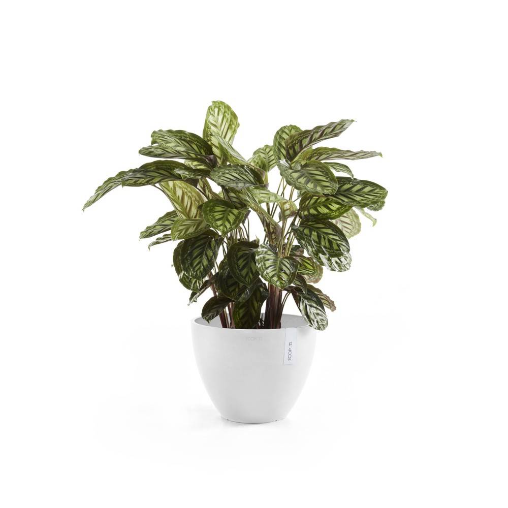 Ecopots - Pot Antwerp 50 Pure White ECOPOTS - Imagen 2