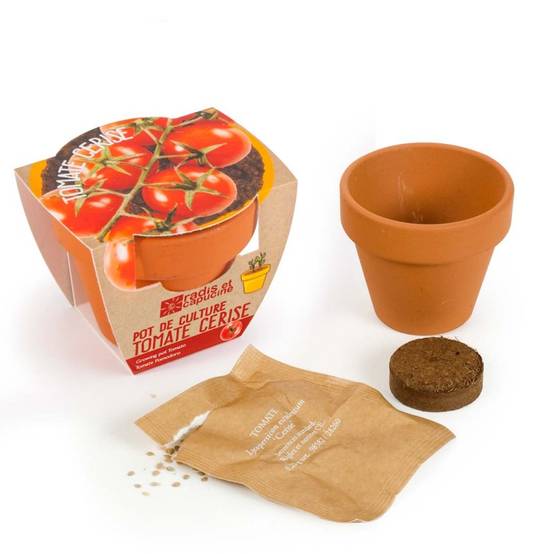Radis et Capucine - Radis et Capucine - Mini kit de culture - Tomate Cerise bio - 6cm - Image 4
