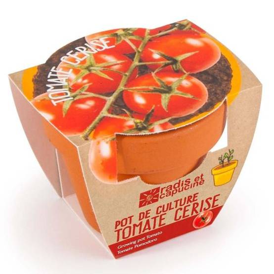 Radis et Capucine - Radis et Capucine - Mini kit de culture - Tomate Cerise bio - 6cm - Image 1