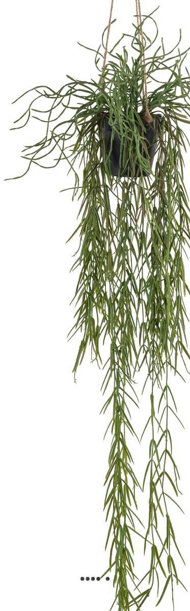 Artificielles - Cactus Rhipsalis artificiel en pot suspendu L 80 cm, D 30 cm - dimhaut: H 80 cm - Imagen 3