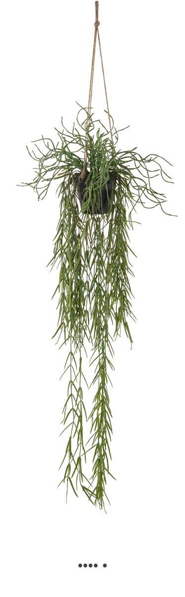 Artificielles - Cactus Rhipsalis artificiel en pot suspendu L 80 cm, D 30 cm - dimhaut: H 80 cm - Imagen 1