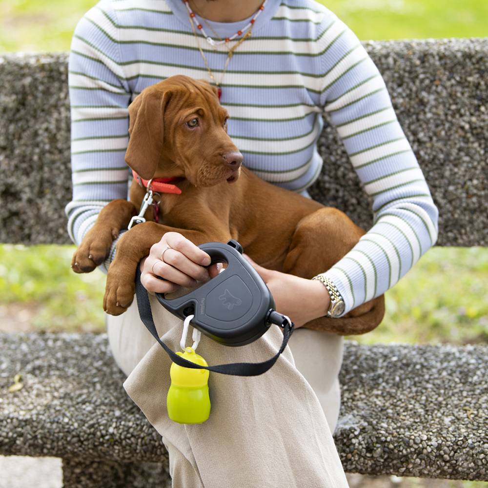 Ferplast - Ferplast Laisse Chien Enrouleur FLIPPY ONE, Laisse pour Chiens de Taille Moyenne jusqu'à 20 Kg. Cordon Extensible max 5 m. Bouton de verrouillage et - Imagen 6