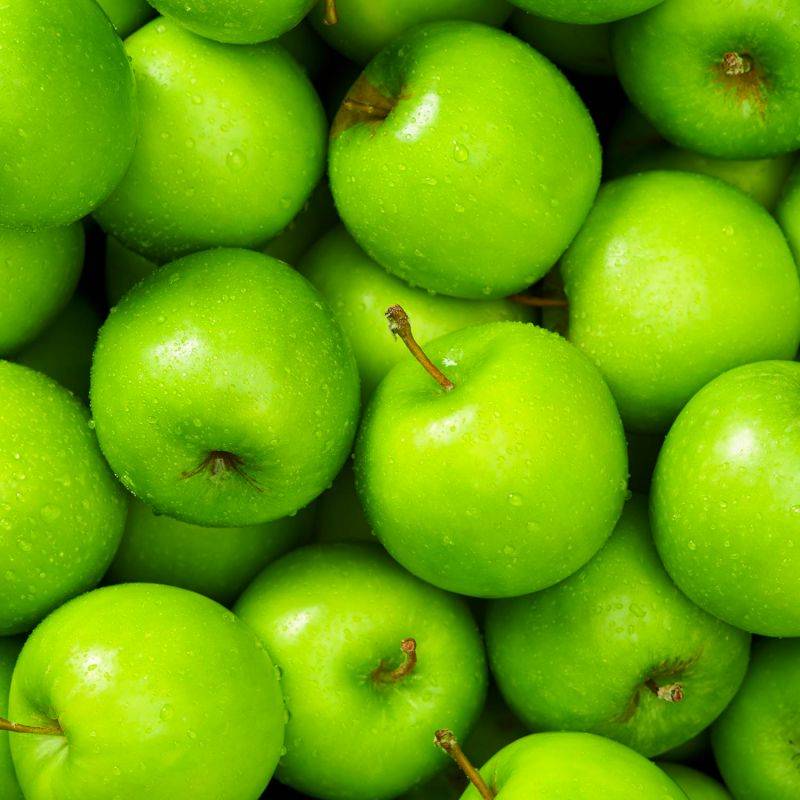 Pommier 'Granny Smith' (Malus domestica 'Granny Smith') - Scion de 100cm - Pépinières Naudet - Image 2