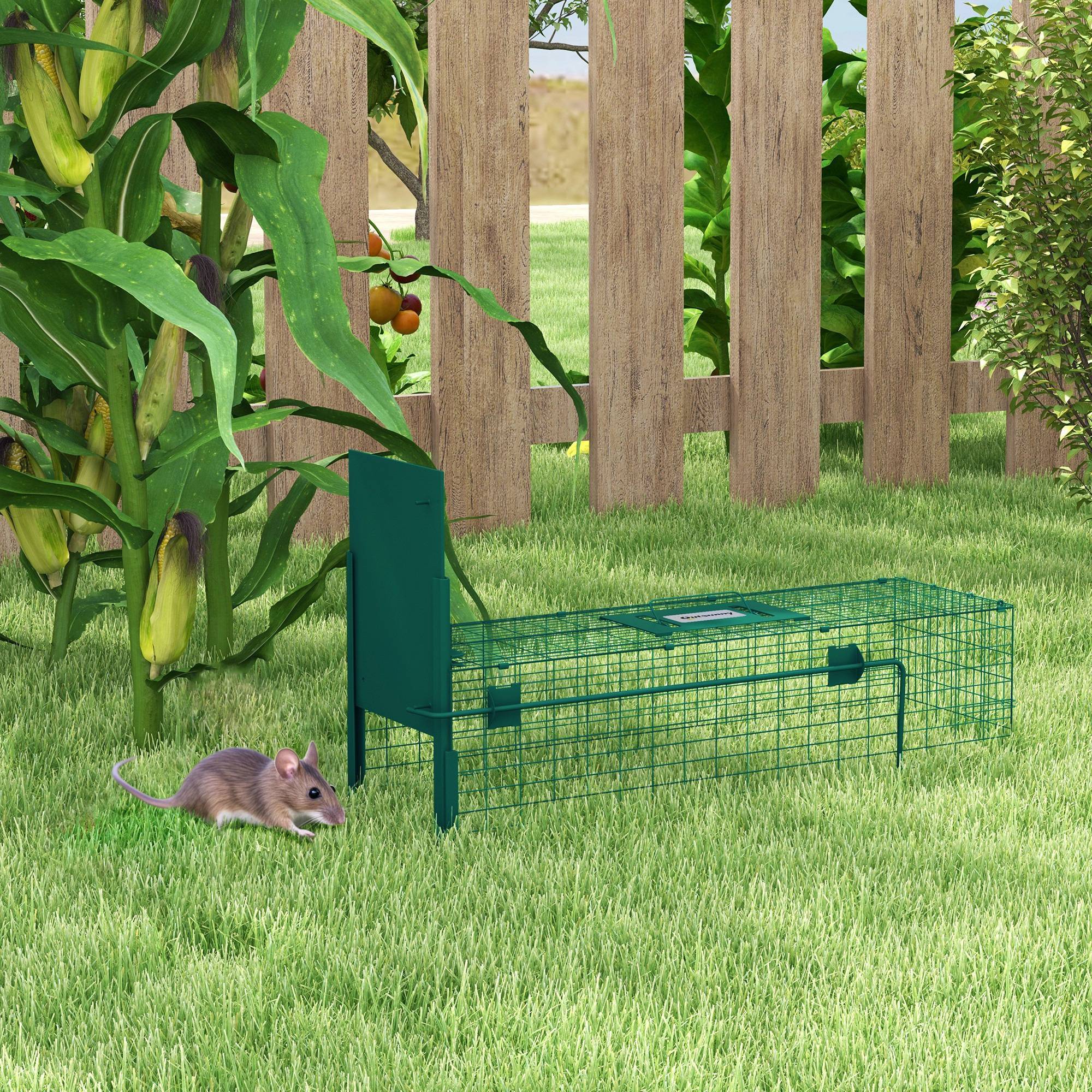 Cage piège pour petits animaux avec une porte et poignée, 80x25x30 cm, vert foncé - Image 3