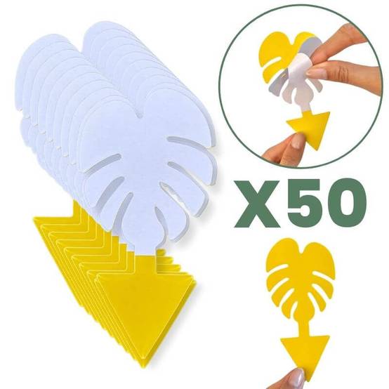 Pièges Jaunes Englués Anti-Mouche de Terreau - Sciarides - Double Face - x30 - Image 8