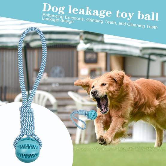 DtopbuyAge - Jouet à mâcher dentaire pour chien - Balle & corde DtopbuyAge - Image 3