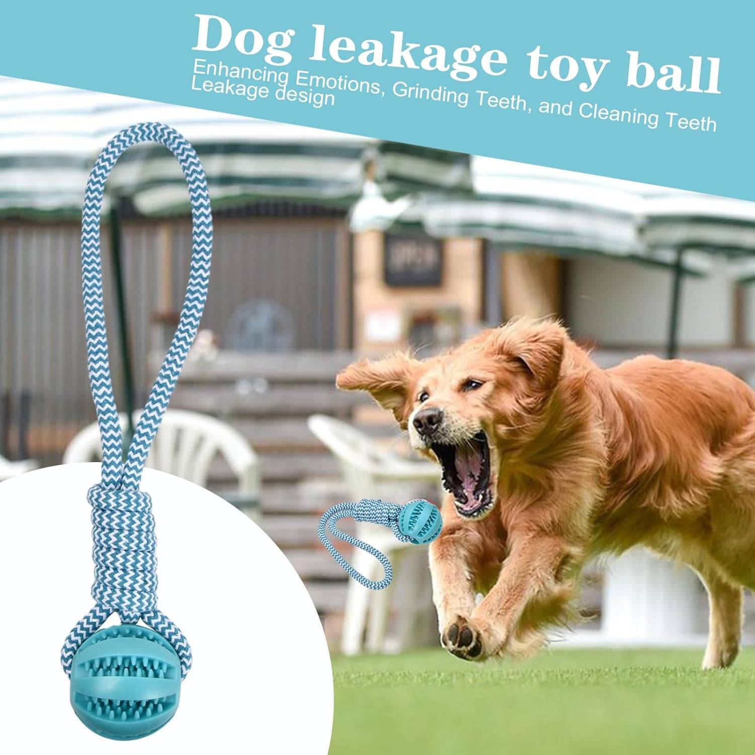 DtopbuyAge - Jouet à mâcher dentaire pour chien - Balle & corde DtopbuyAge - Image 3