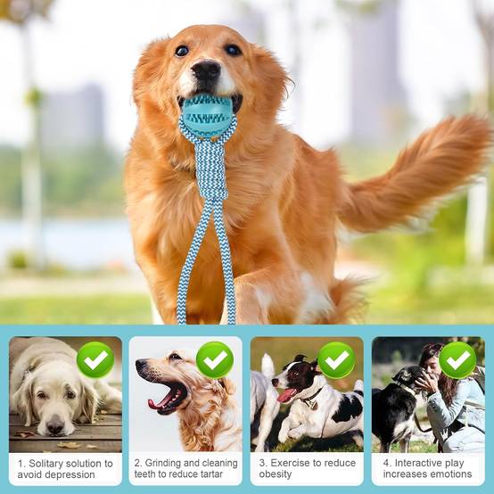 DtopbuyAge - Jouet à mâcher dentaire pour chien - Balle & corde DtopbuyAge - Image 4