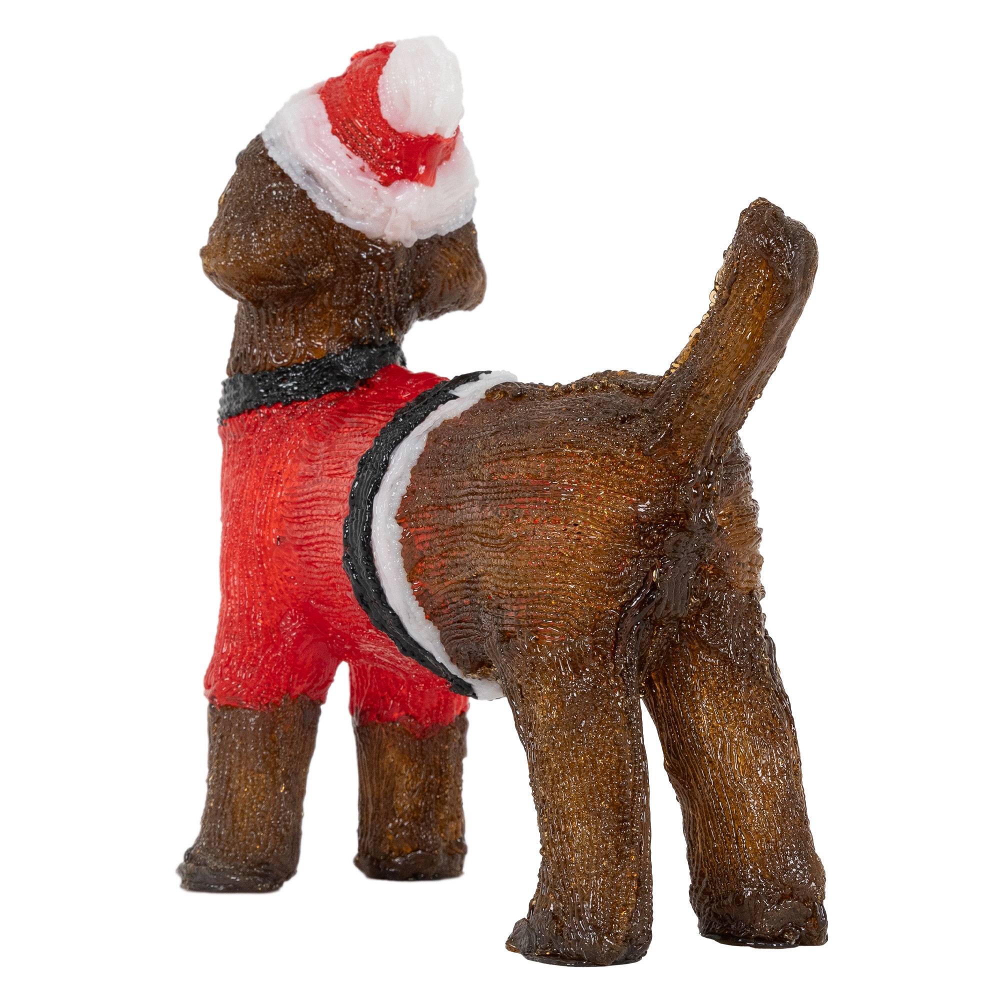 Ecd-Germany - LED Teckel chien de Noël décoration intérieur/extérieur lumières de jardin 37 cm - Imagen 3