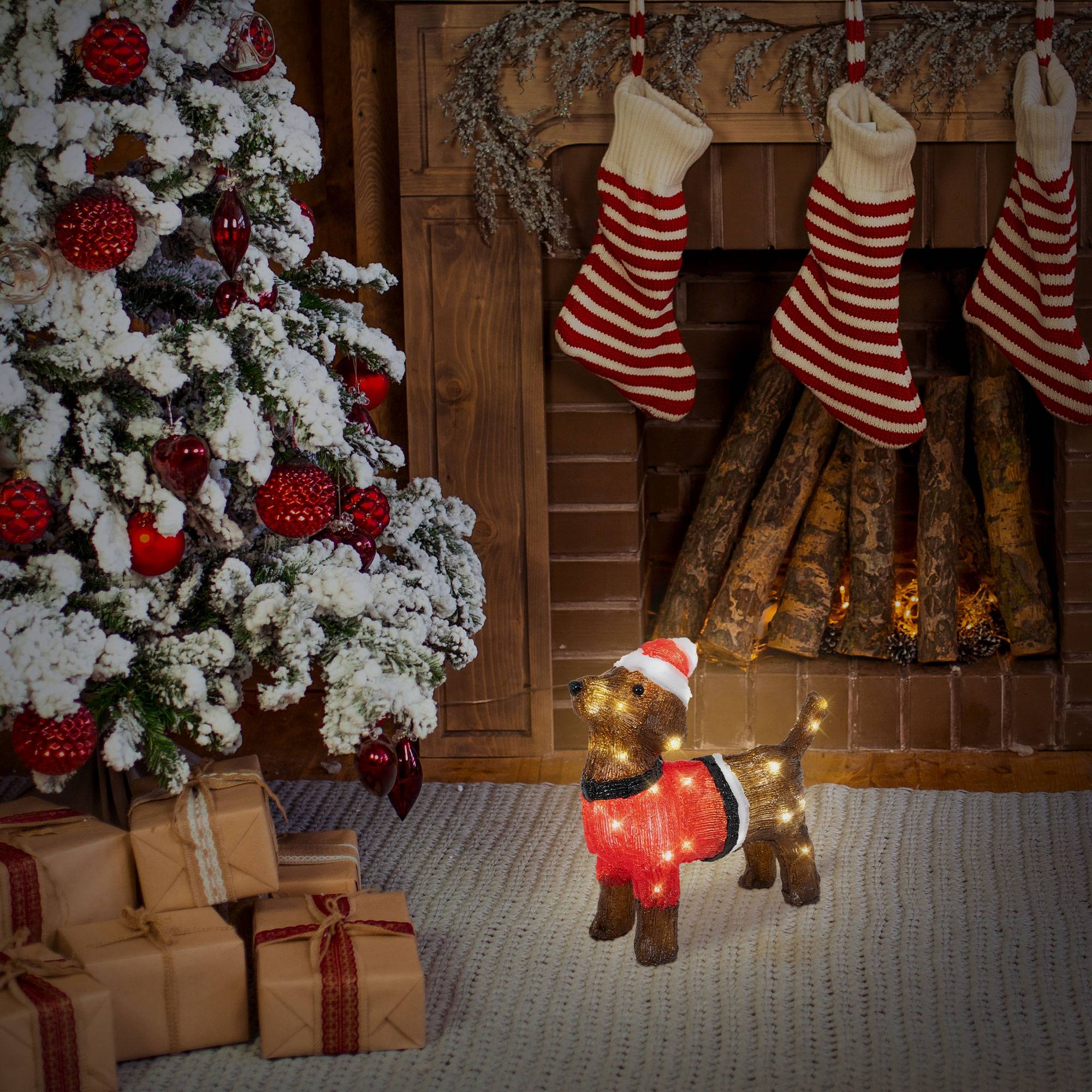 Ecd-Germany - LED Teckel chien de Noël décoration intérieur/extérieur lumières de jardin 37 cm - Imagen 7