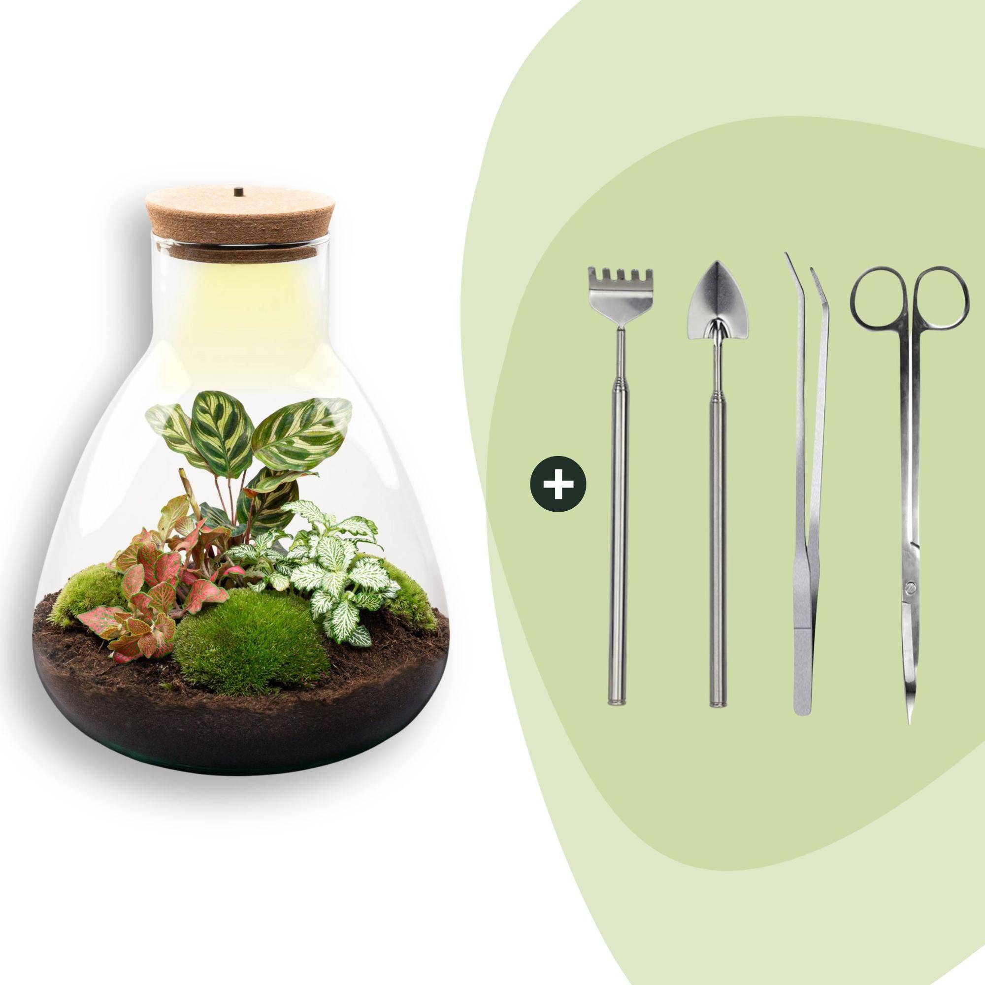 Terrarium à composer bouteille en verre recyclé - Ø24-H30cm - avec kit 4 outils - bouchon LED - Terrarium DIY - Image 1