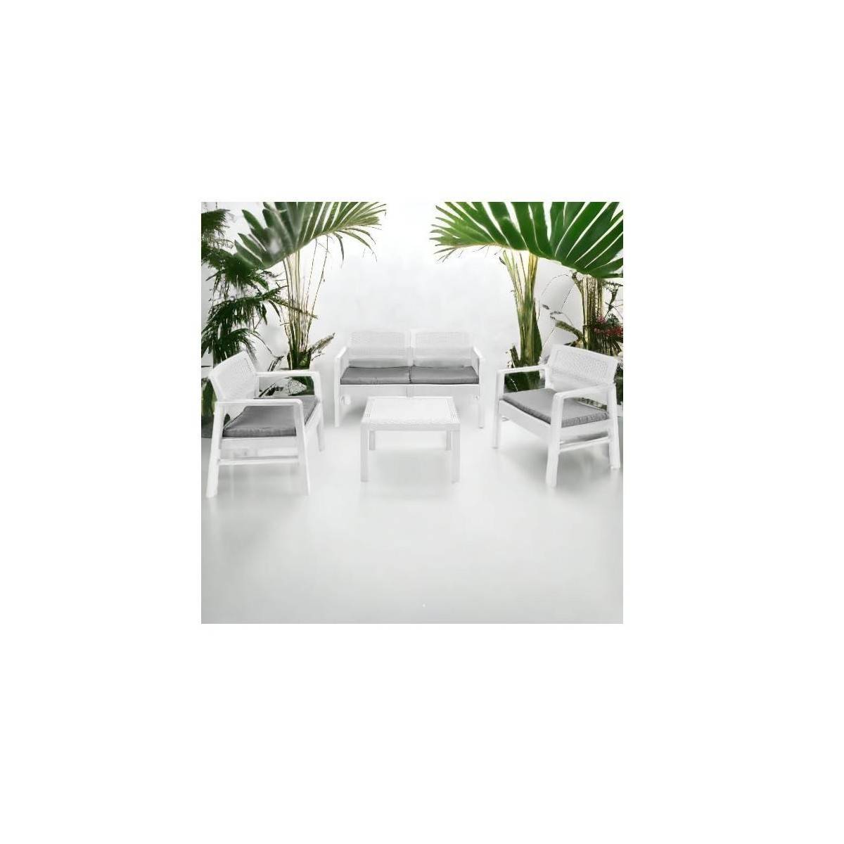 Salon de jardin 4 pièces Canapé 2 places + 2 fauteuils + Table basse Résine Blanche - Imagen 2