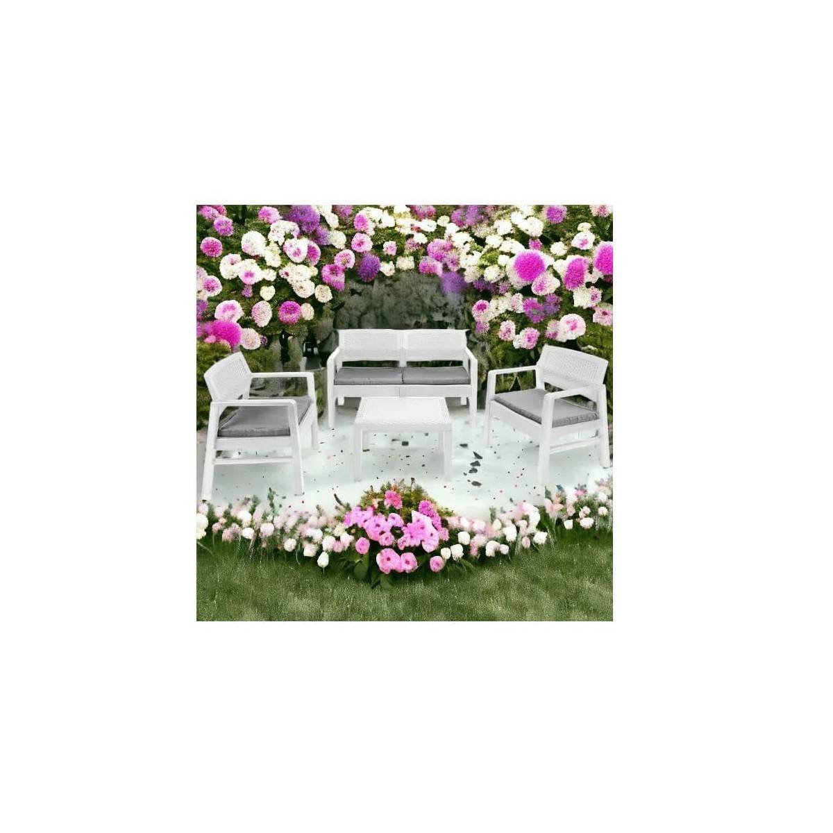 Salon de jardin 4 pièces Canapé 2 places + 2 fauteuils + Table basse Résine Blanche - Imagen 4