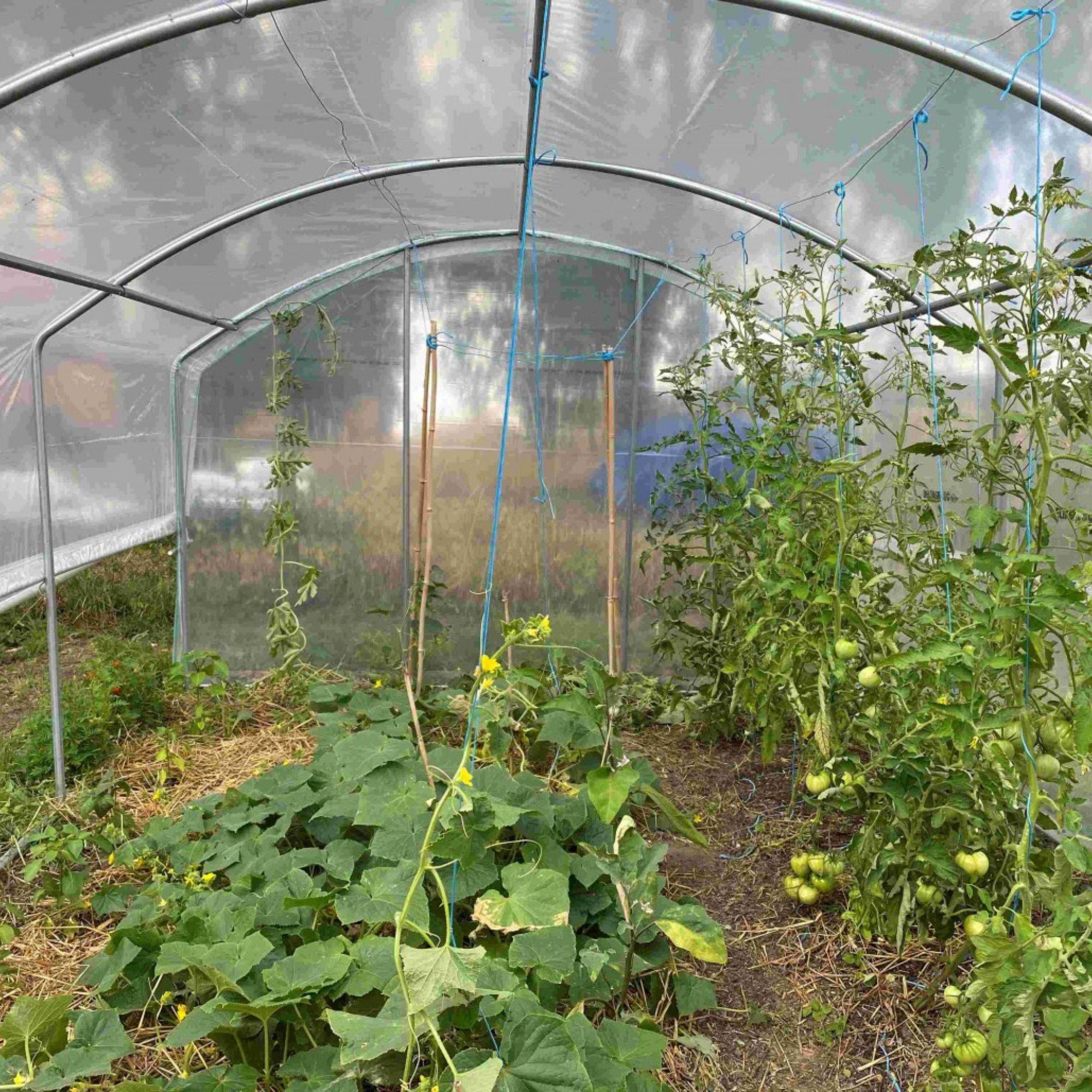 Serre tunnel de jardin - 27m² - 3 x 9 m - pieds droits - aérations latérales - 4 saisons - LES SERRES TONNEAU - Image 6