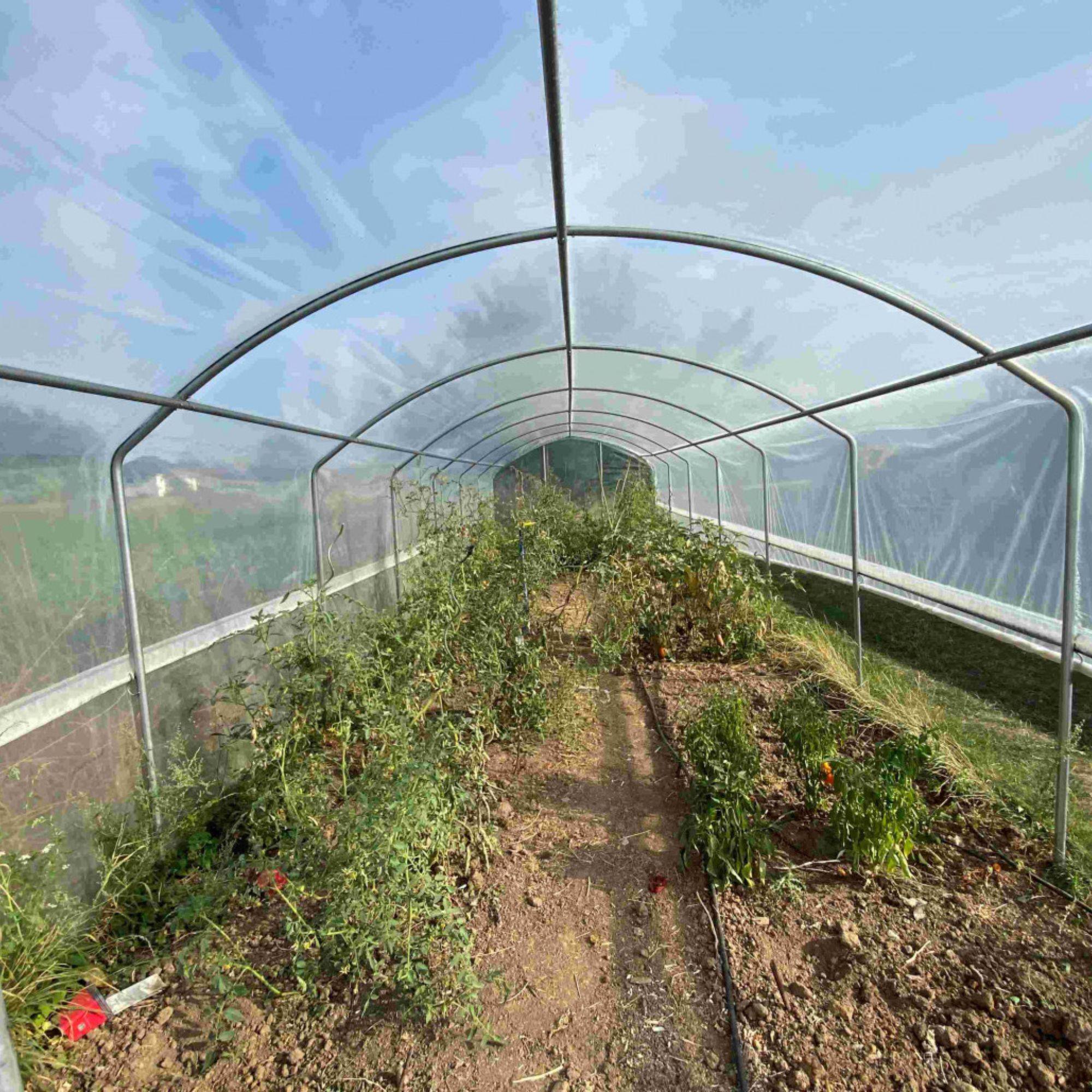 Serre tunnel de jardin - 27m² - 3 x 9 m - pieds droits - aérations latérales - 4 saisons - LES SERRES TONNEAU - Image 5