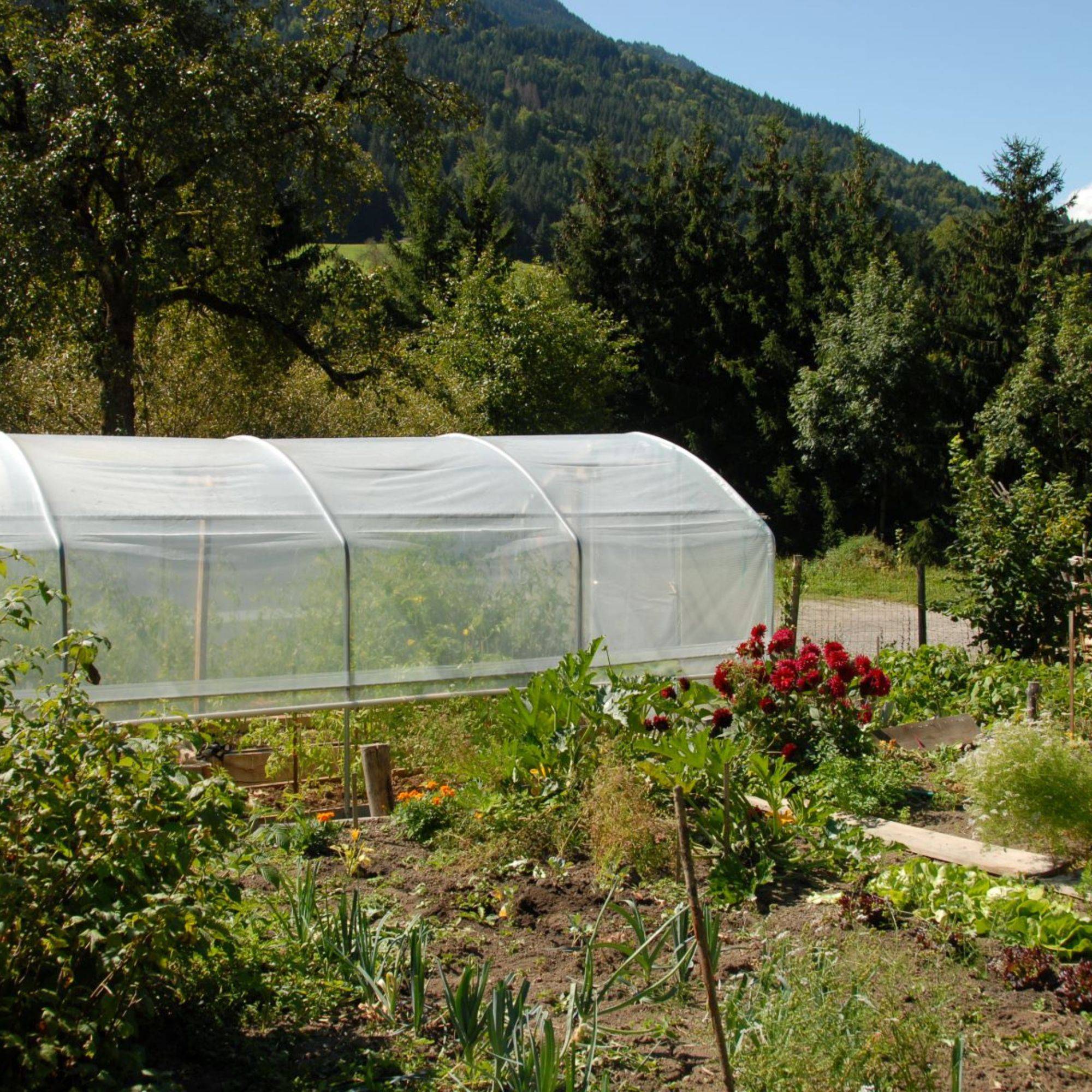 Serre tunnel de jardin - 27m² - 3 x 9 m - pieds droits - aérations latérales - 4 saisons - LES SERRES TONNEAU - Image 3