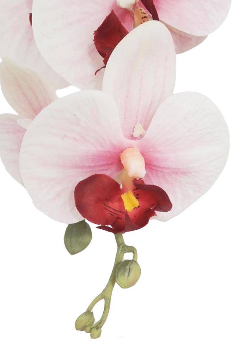 Artificielles - Orchidée Phalaenopsis facticeTop Qualité & pot H110cm Rose-pâle-BEST - dimhaut: H 110 cm - couleur: Rose-crème - Imagen 4
