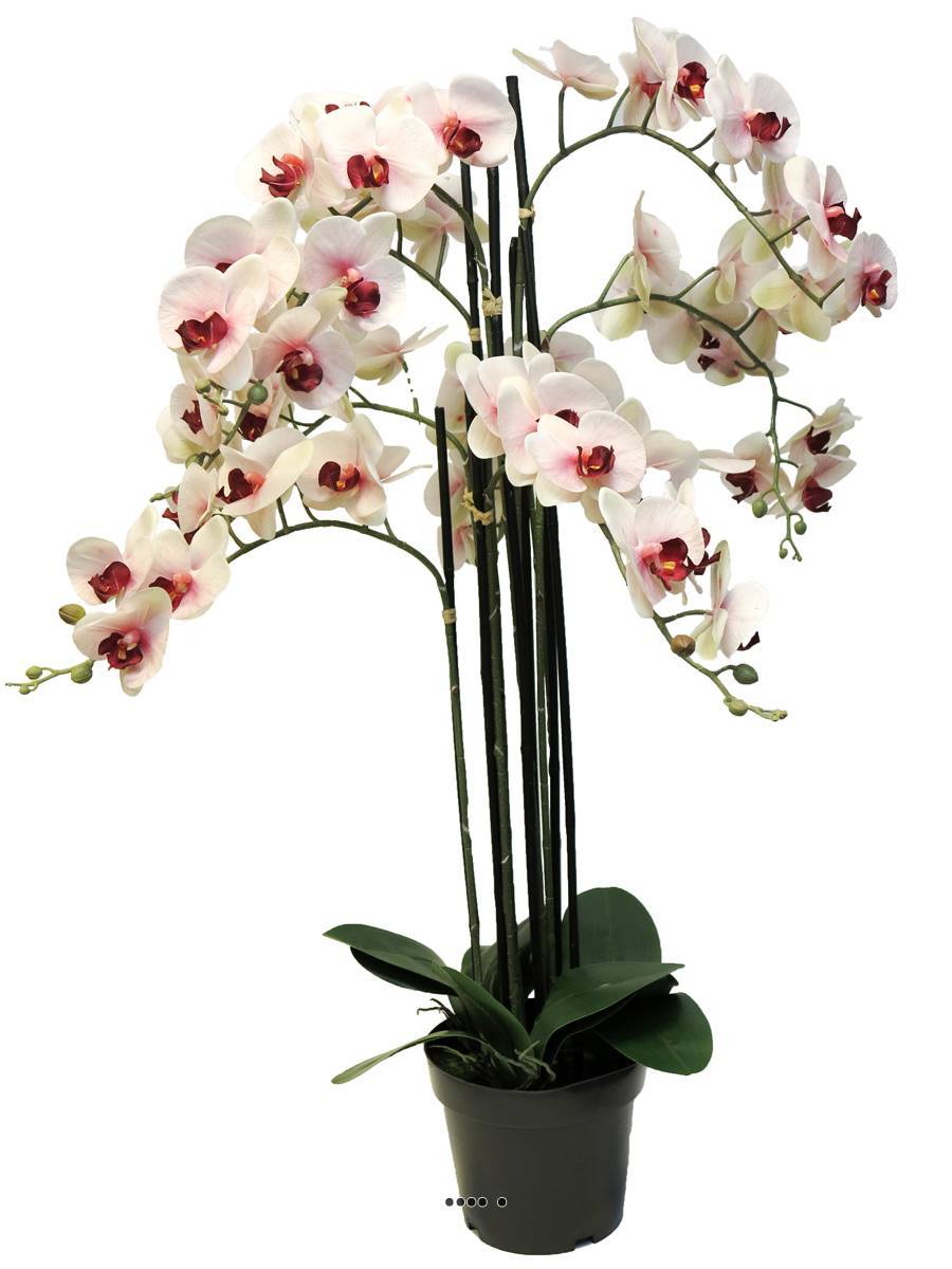 Artificielles - Orchidée Phalaenopsis facticeTop Qualité & pot H110cm Rose-pâle-BEST - dimhaut: H 110 cm - couleur: Rose-crème - Imagen 2