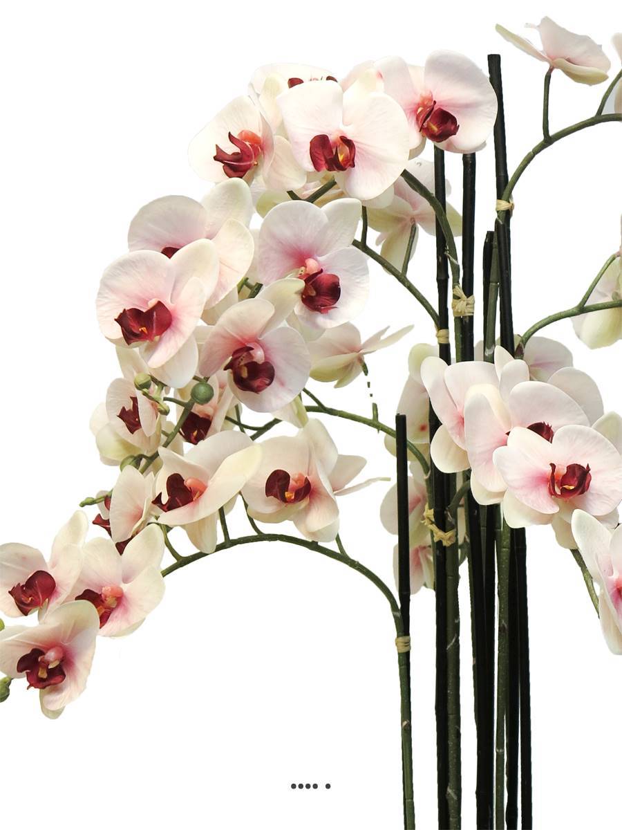 Artificielles - Orchidée Phalaenopsis facticeTop Qualité & pot H110cm Rose-pâle-BEST - dimhaut: H 110 cm - couleur: Rose-crème - Imagen 3
