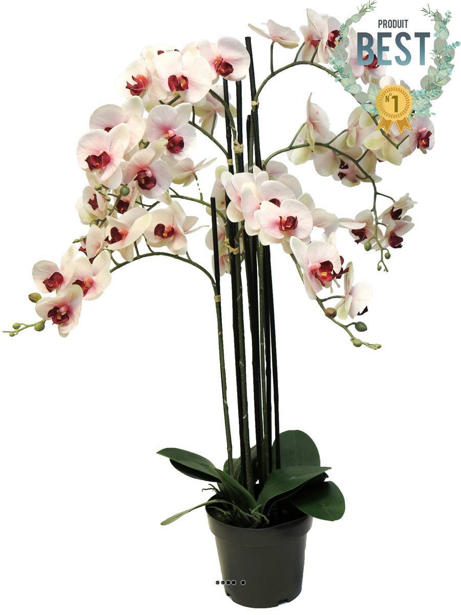 Artificielles - Orchidée Phalaenopsis facticeTop Qualité & pot H110cm Rose-pâle-BEST - dimhaut: H 110 cm - couleur: Rose-crème - Imagen 1